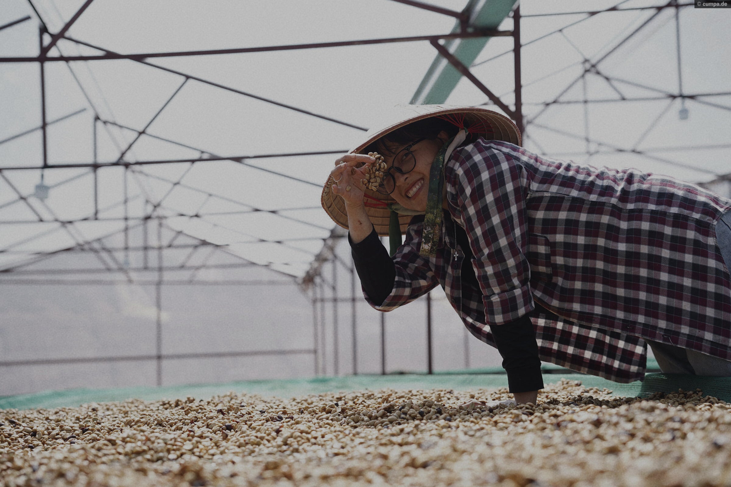 Ernte auf der Lộc Rừng Farm – Vietnam Hochland