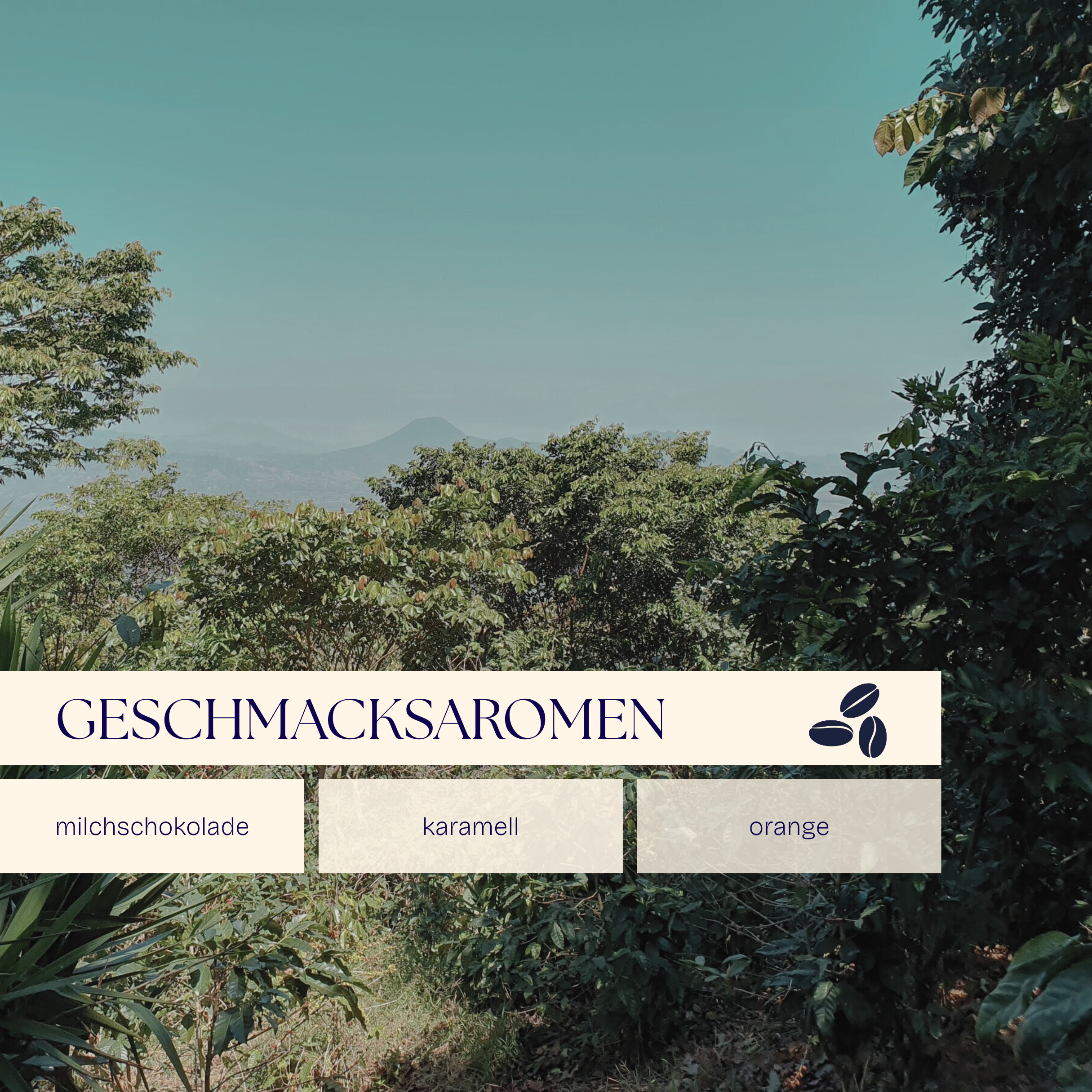 Signature Aromen – Milchschokolade, Karamell, Orangenzeste